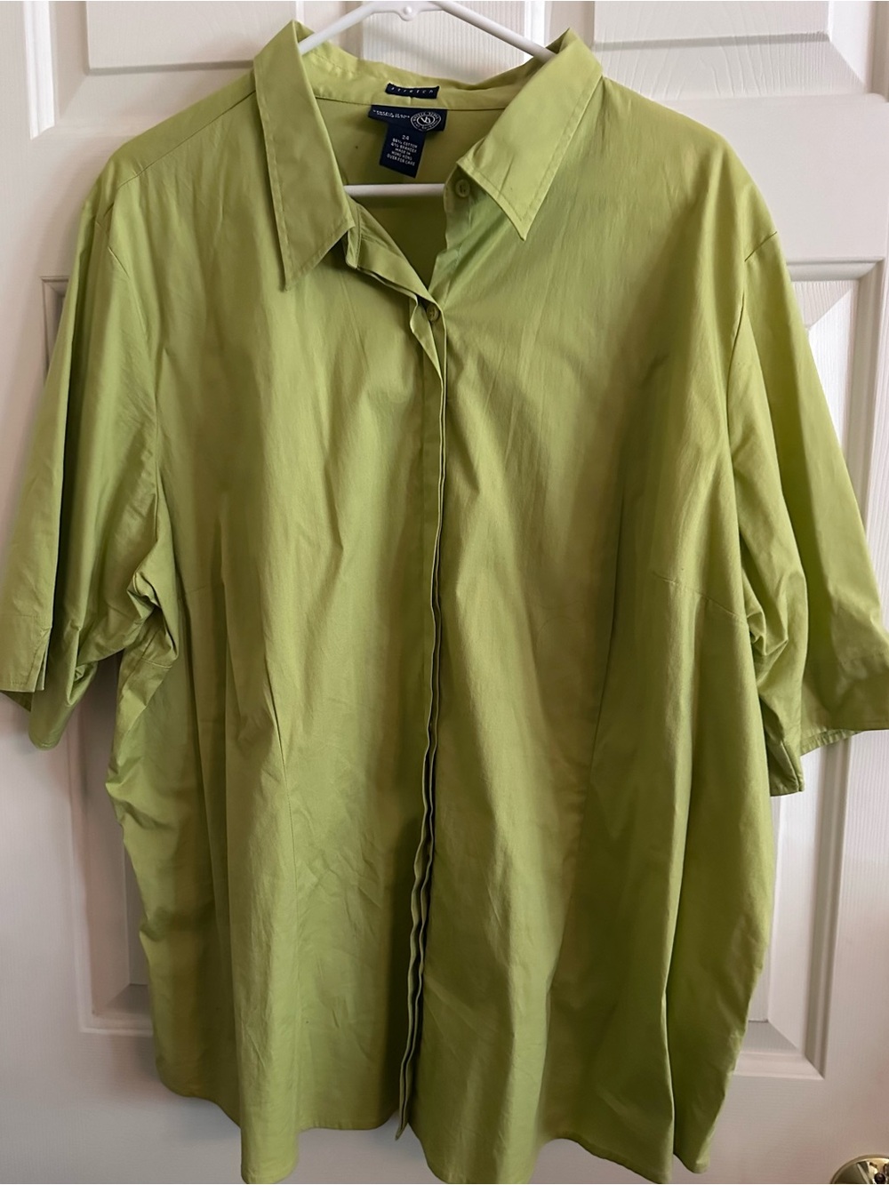 Woman’s Venezia Light Green Button-Front Blouse